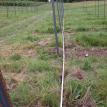 Irrigation mainline
